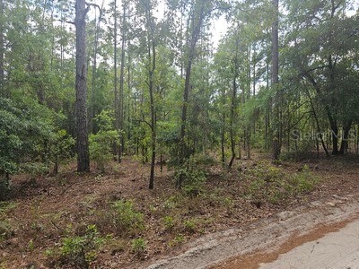 0 SW 90 Dunnellon FL 34432 OM723646 image4