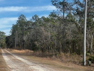 0 SW 90th Place Dunnellon FL 34432 OM694003 image1