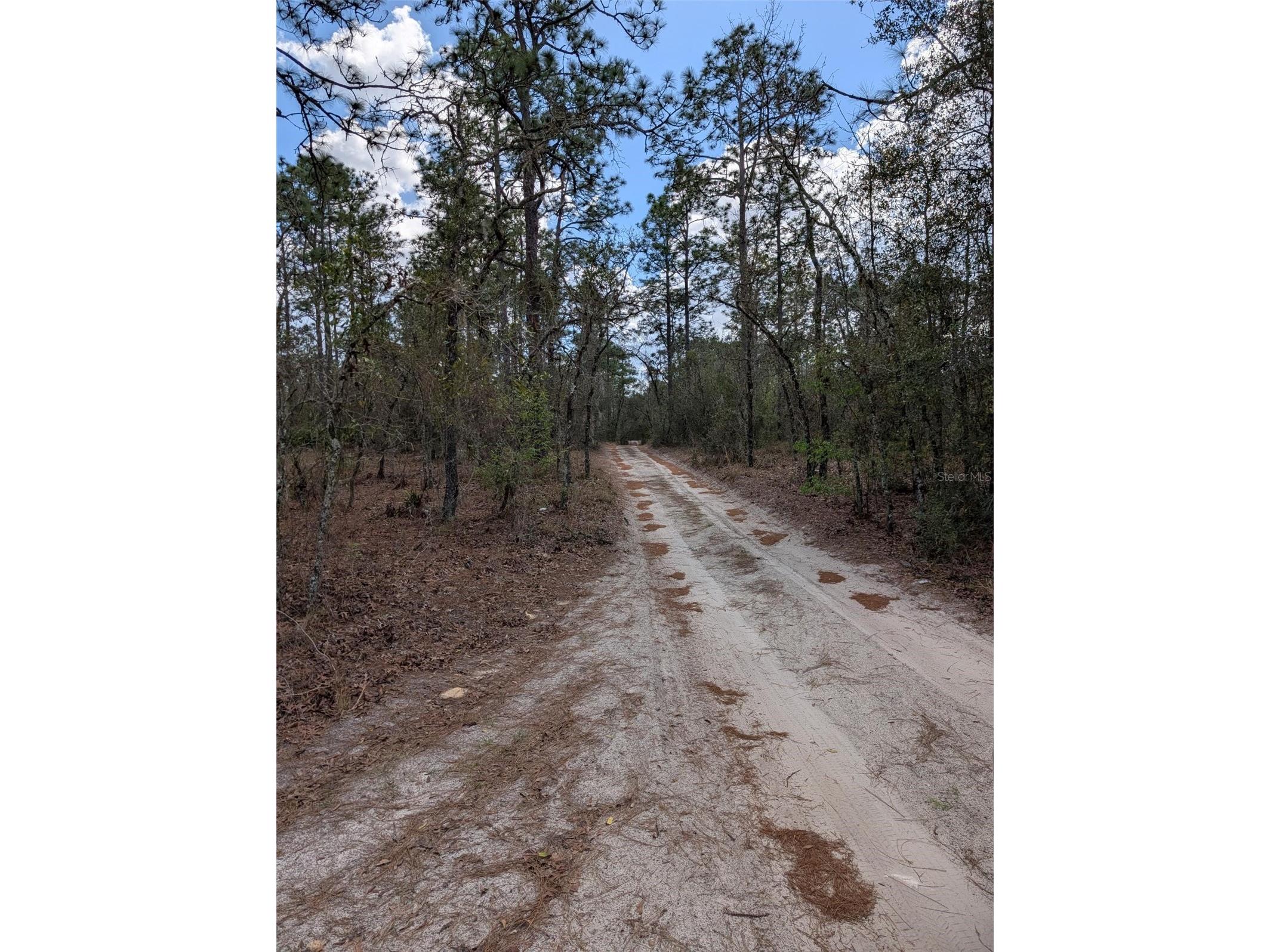 0 SW 90th Street Dunnellon FL 34432 OM727908 image3