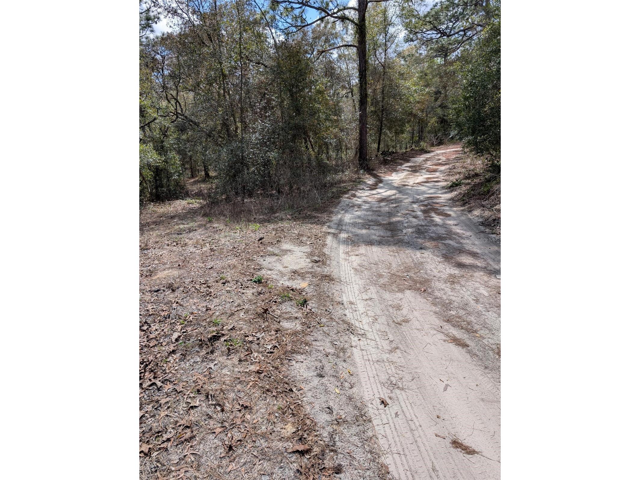 0 SW 90th Street Dunnellon FL 34432 OM727908 image4