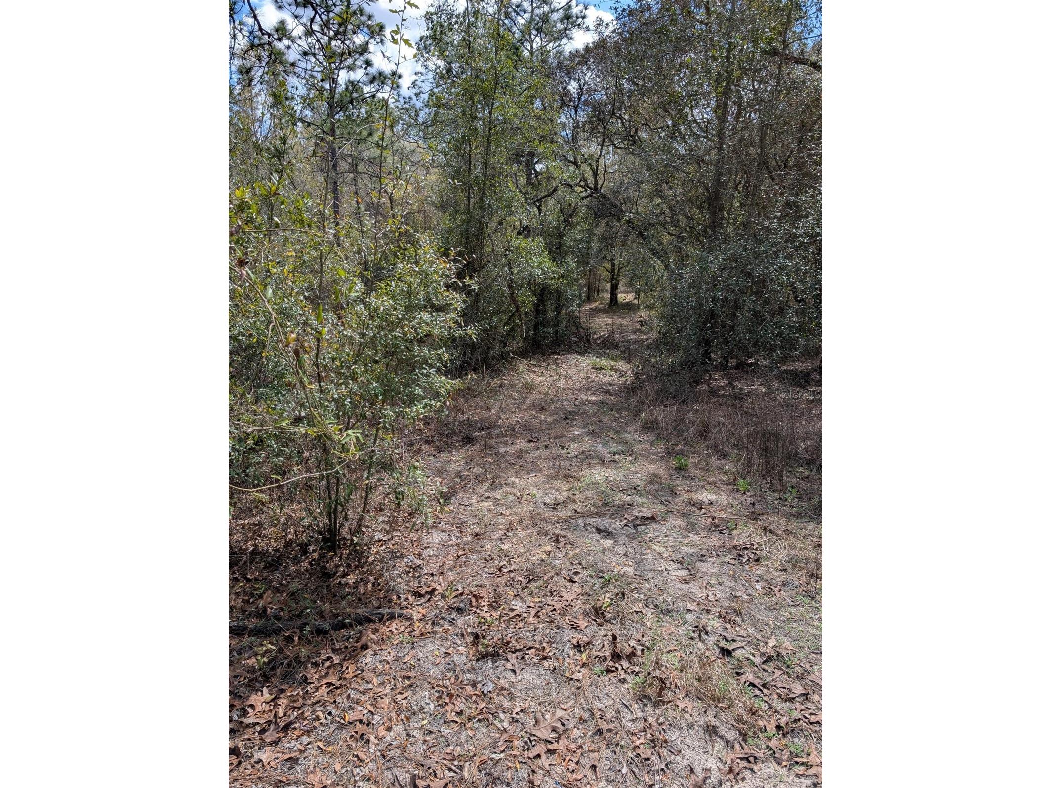 0 SW 90th Street Dunnellon FL 34432 OM727908 image5