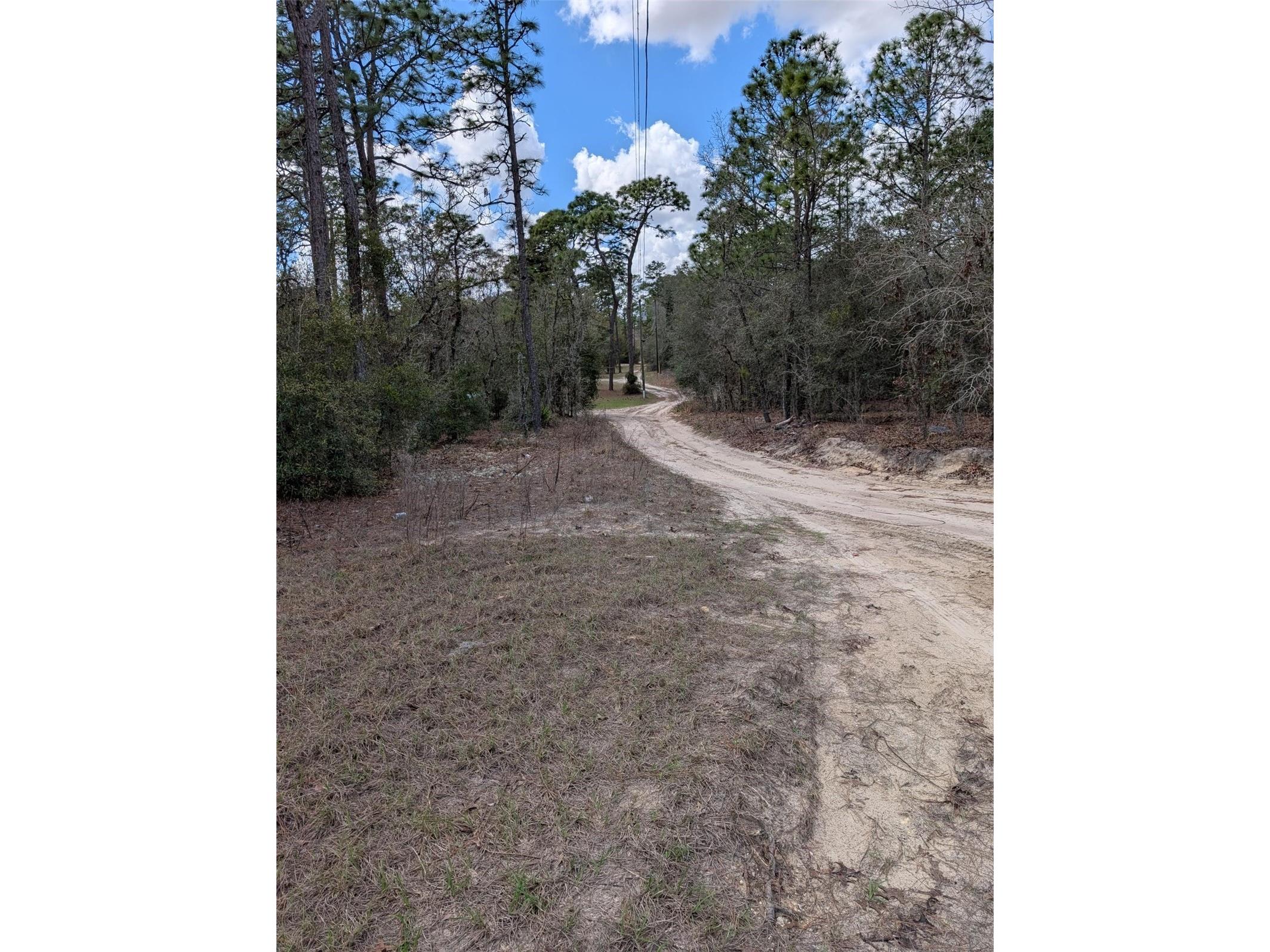 0 SW 90th Street Dunnellon FL 34432 OM727908 image6