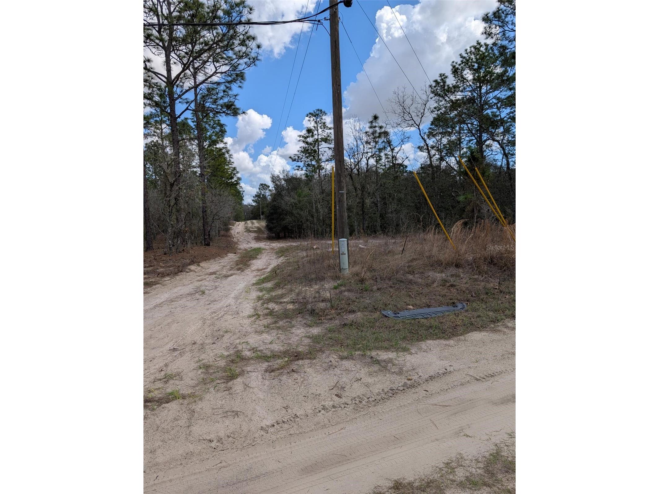 0 SW 90th Street Dunnellon FL 34432 OM727908 image7
