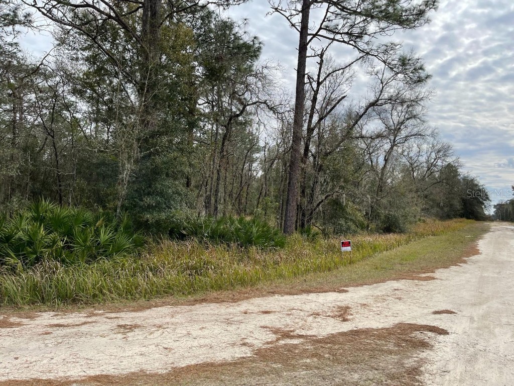 0 SW 91 Lane Dunnellon FL 34432 T3513535 image1