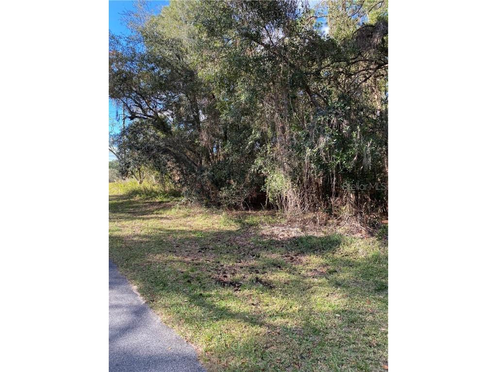 0 SW 93rd Lane Road Dunnellon FL 34432 - RAINBOW RIVER OM613069 image1