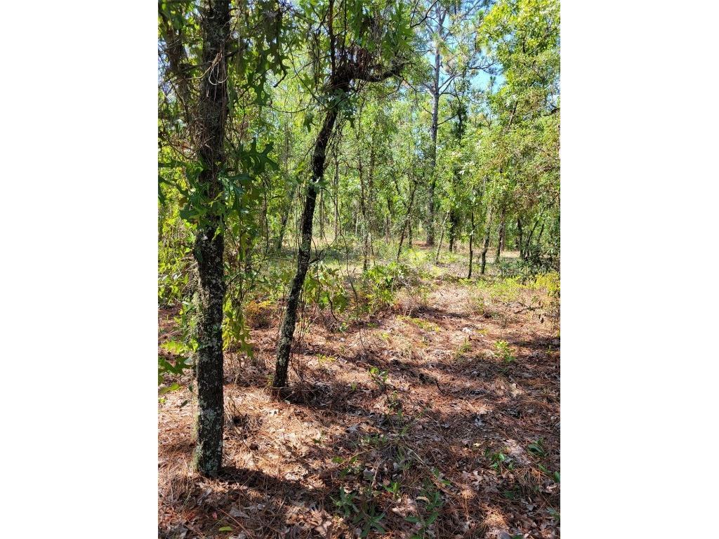 0 SW 93rd Street Dunnellon FL 34432 OM672947 image1