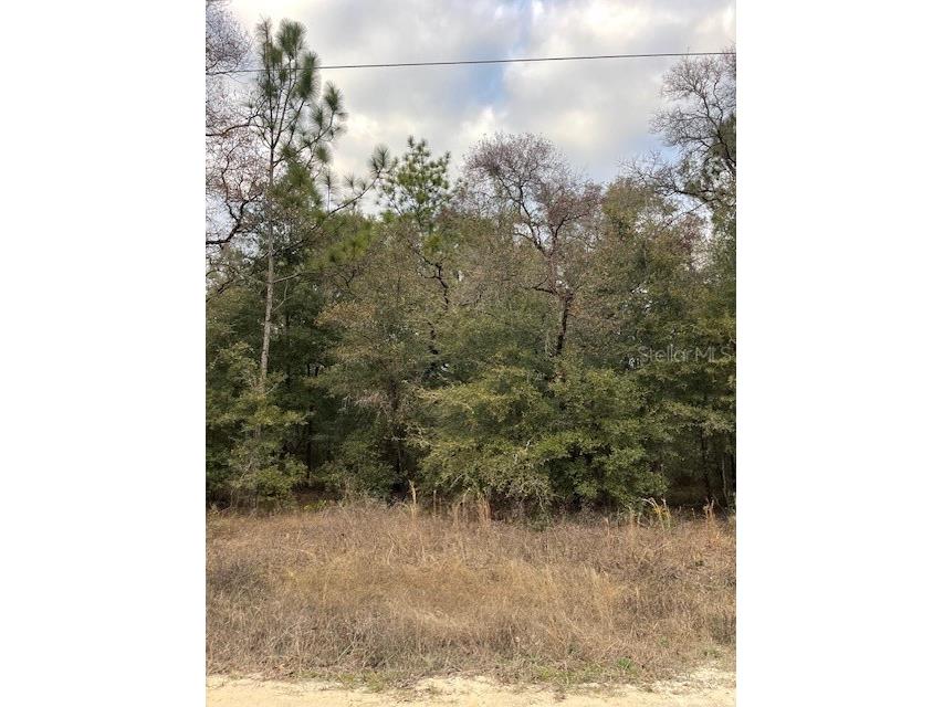 0 Sw 94th Lane Dunnellon FL 34432 S5118830 image1