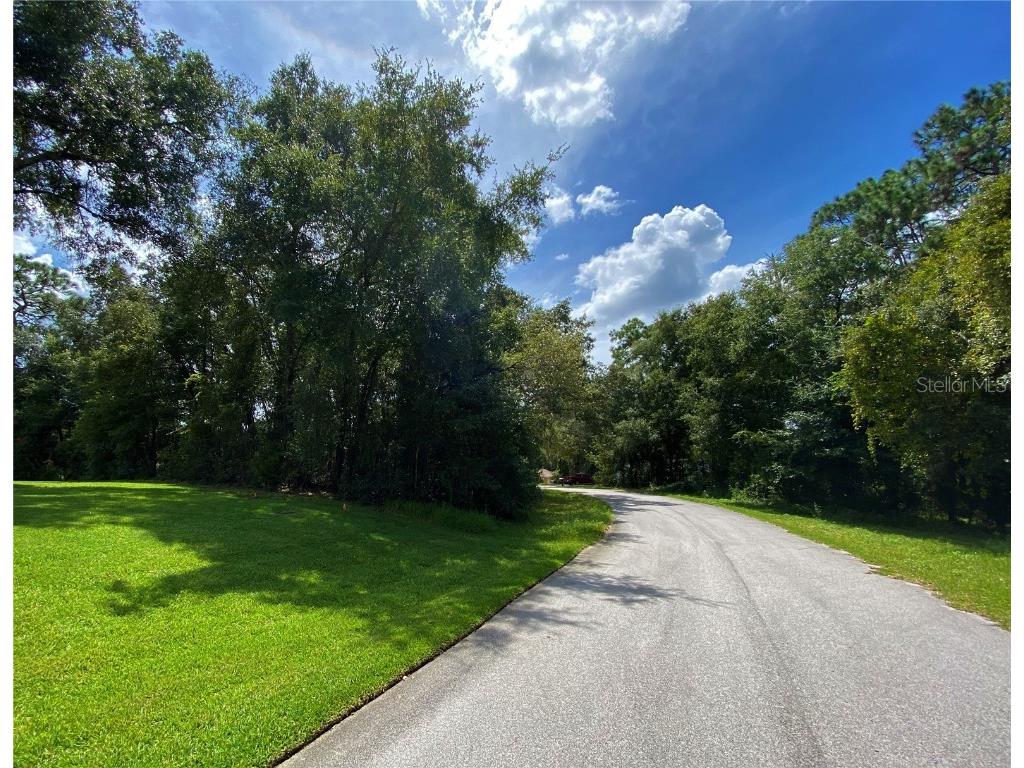 0 SW 97th Place Dunnellon FL 34432 - RAINBOW & WITHLACOOCHEE RIVERS R4906291 image1