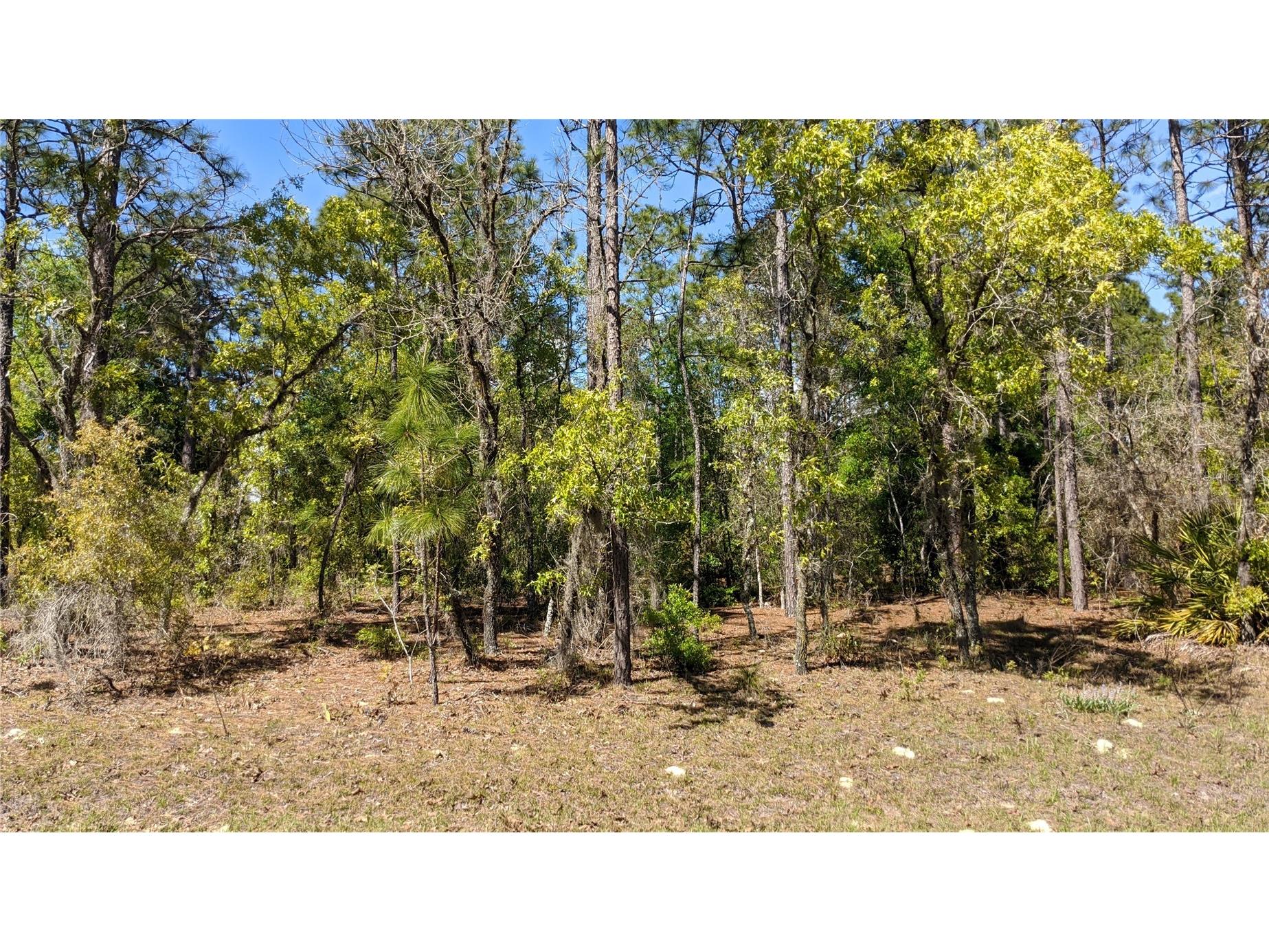 0 SW 97th Place Dunnellon FL 34432 TB8399604 image1