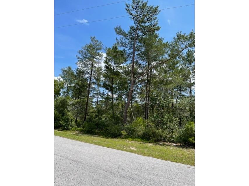 0 SW 99th Street Ocala FL 34476 OM658142 image1