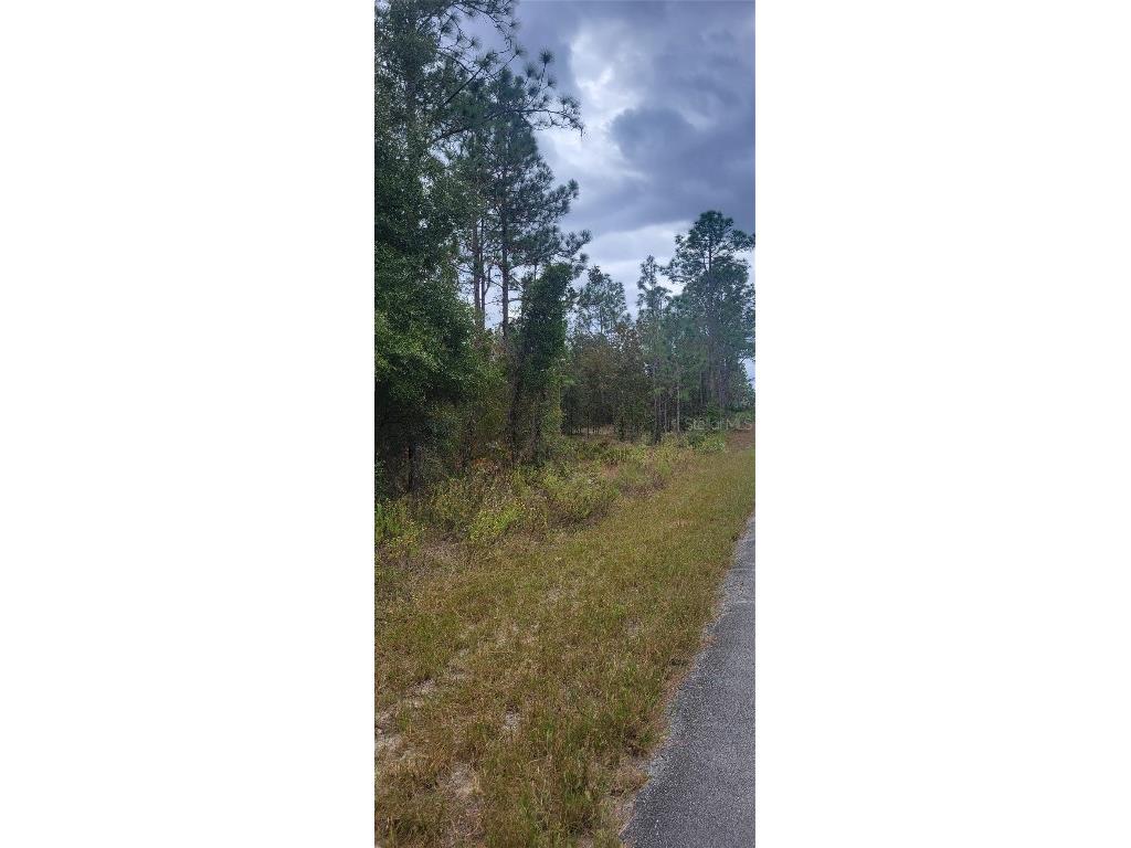 0 SW Arrow Leaf Trail Dunnellon FL 34431 OM712645 image2
