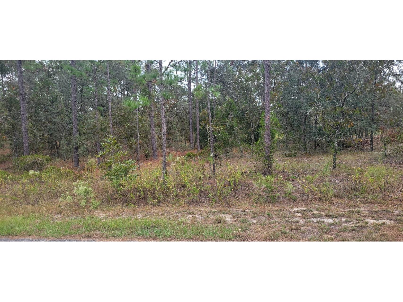 0 SW Arrow Leaf Trail Dunnellon FL 34431 OM712645 image3
