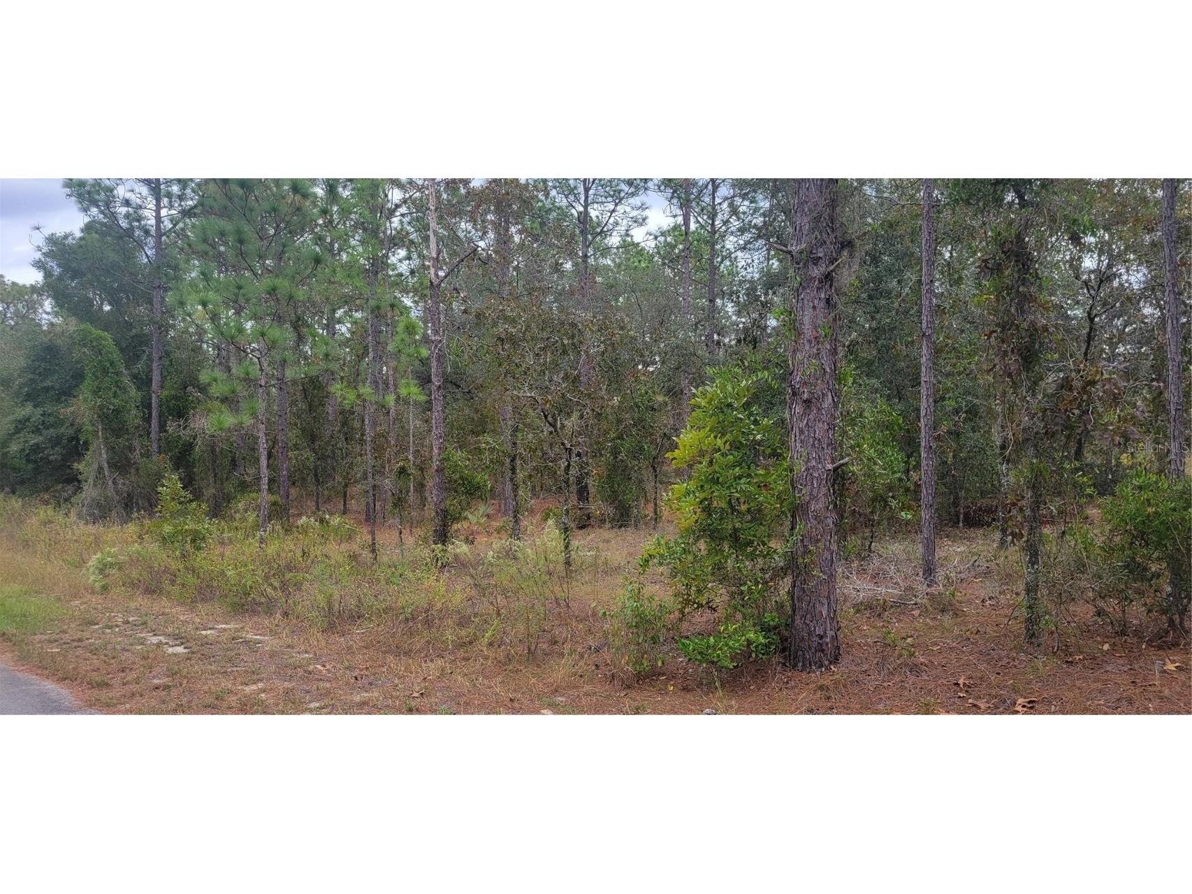 0 SW Arrow Leaf Trail Dunnellon FL 34431 OM712645 image4