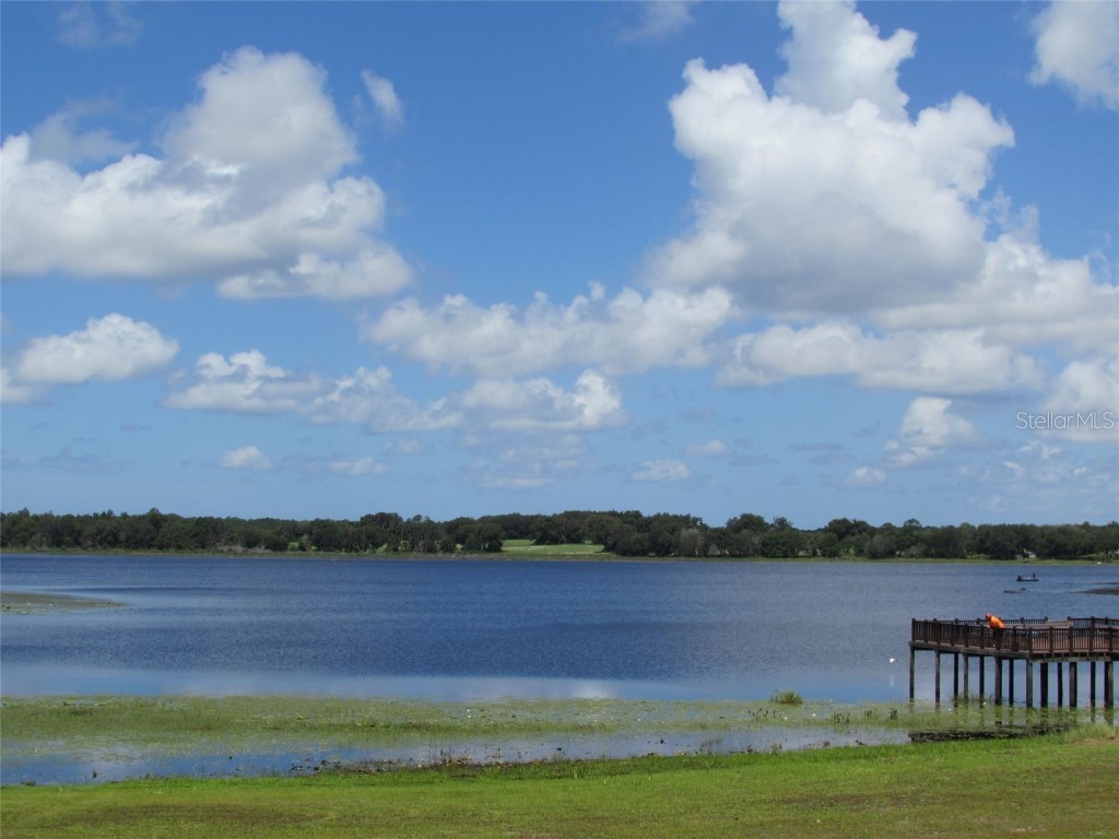 0 SW Arrow Leaf Trail Dunnellon FL 34431 OM712645 image9