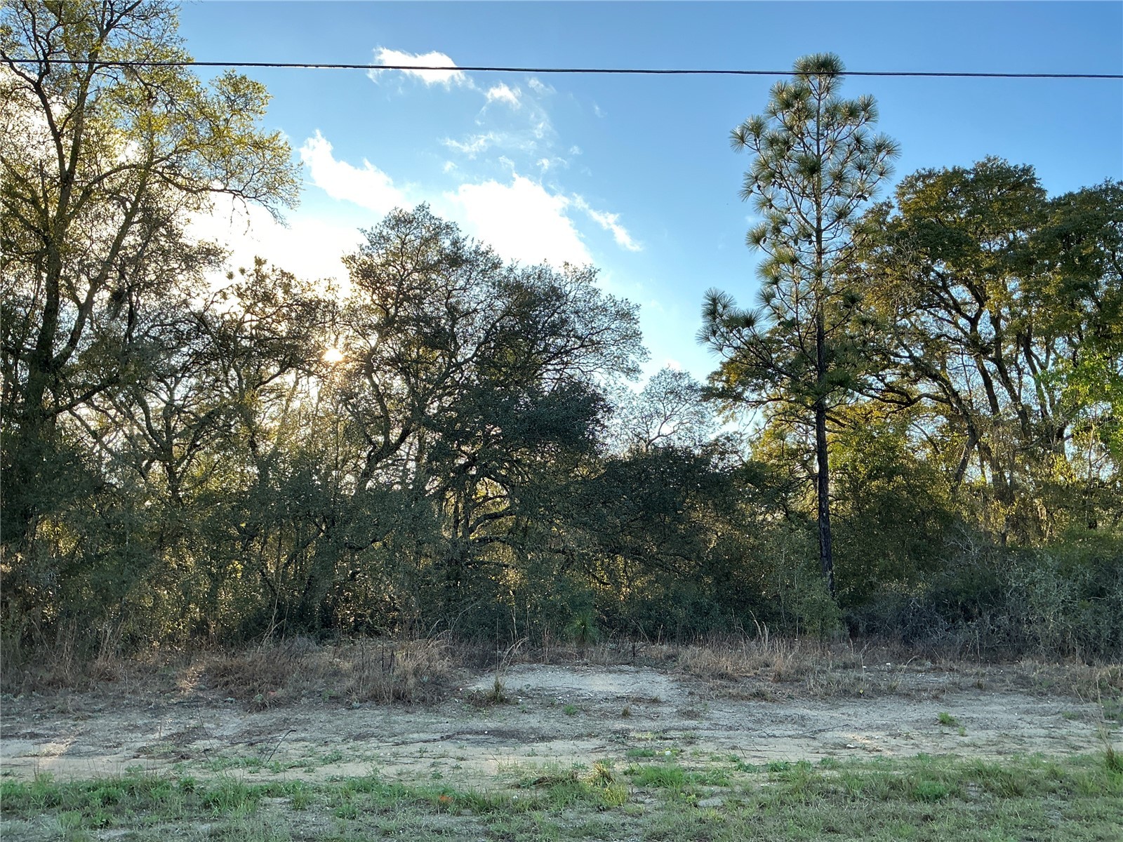 0 SW Azaleta Court Ocala FL 34471 OM720956 image1