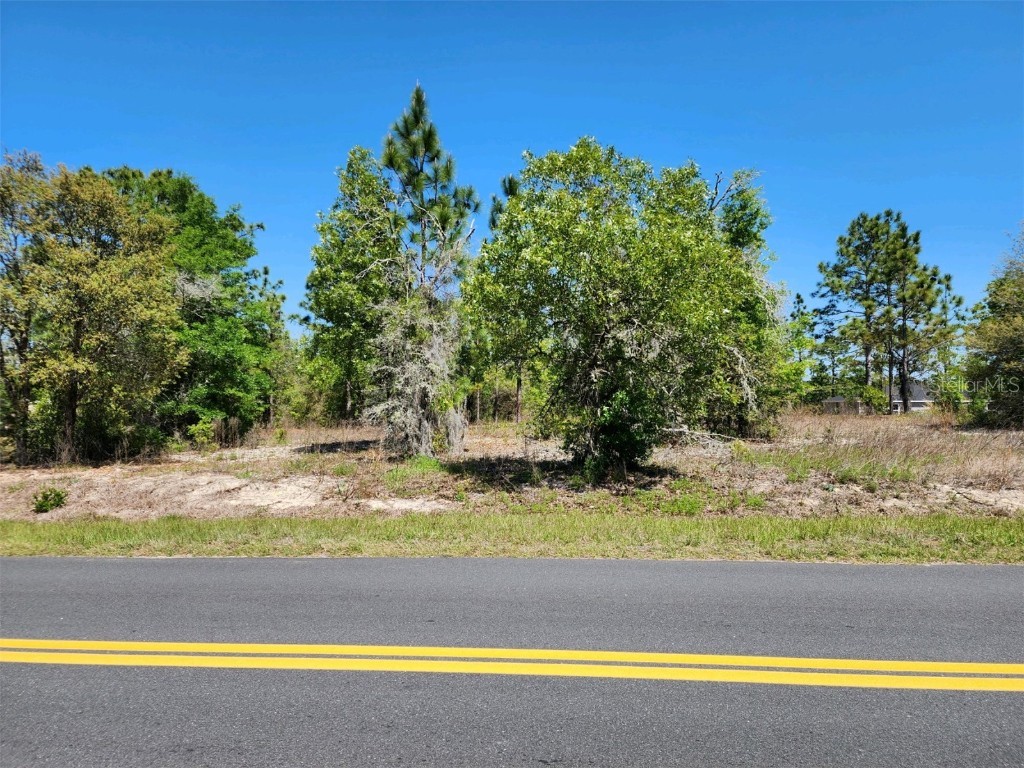 0 SW Beach Boulevard Dunnellon FL 34431 OM655565 image1