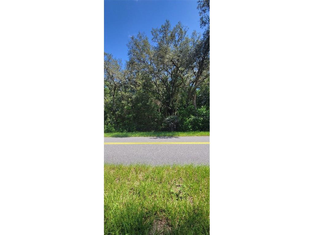 0 SW Beach Boulevard Dunnellon FL 34431 OM707344 image1