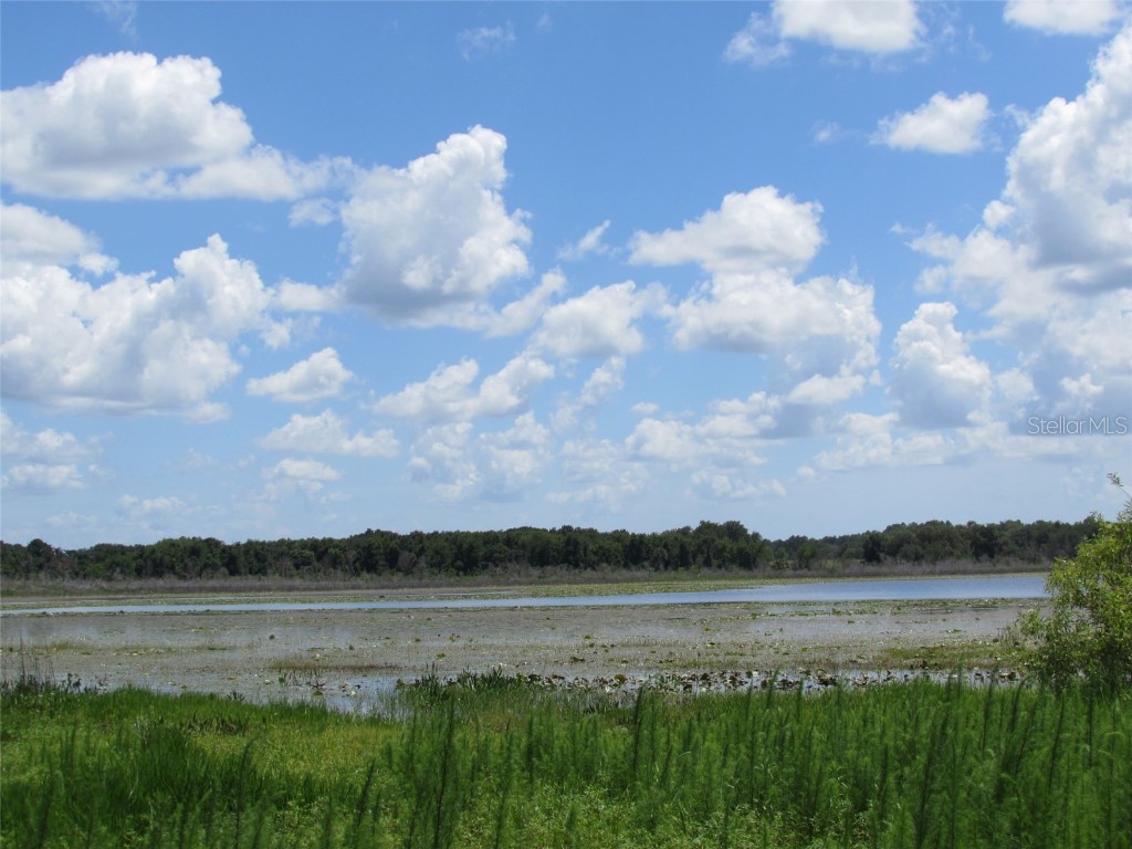 0 SW Beach Boulevard Dunnellon FL 34431 OM707344 image17