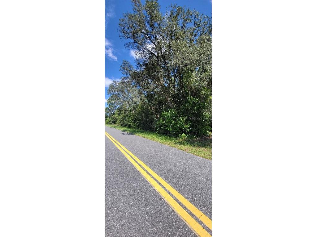 0 SW Beach Boulevard Dunnellon FL 34431 OM707344 image2