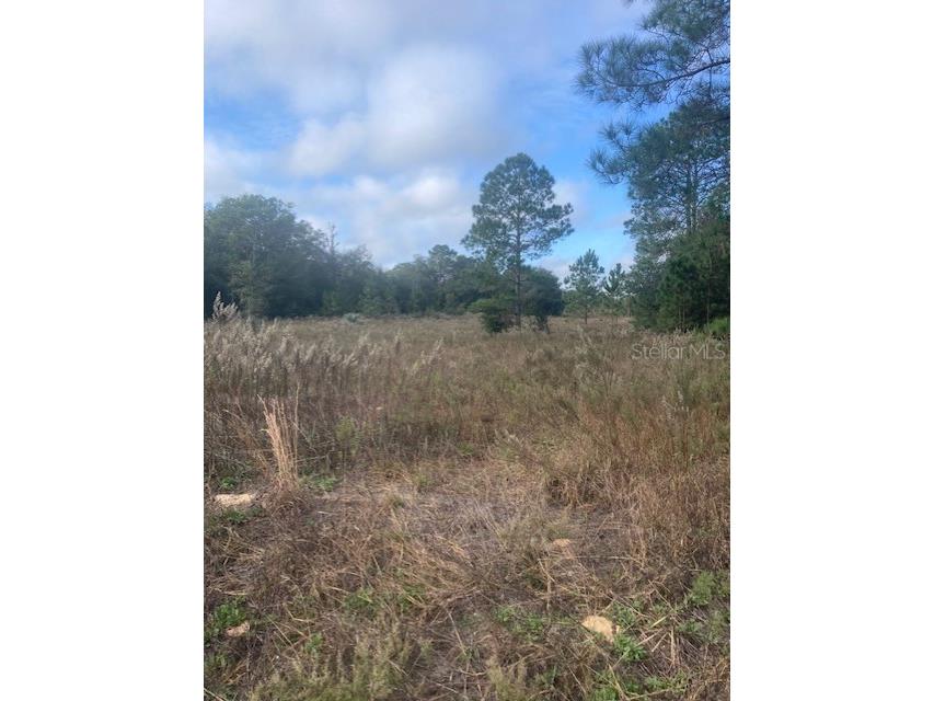 0 Sw Begonia Court Dunnellon FL 34431 OM650410 image1