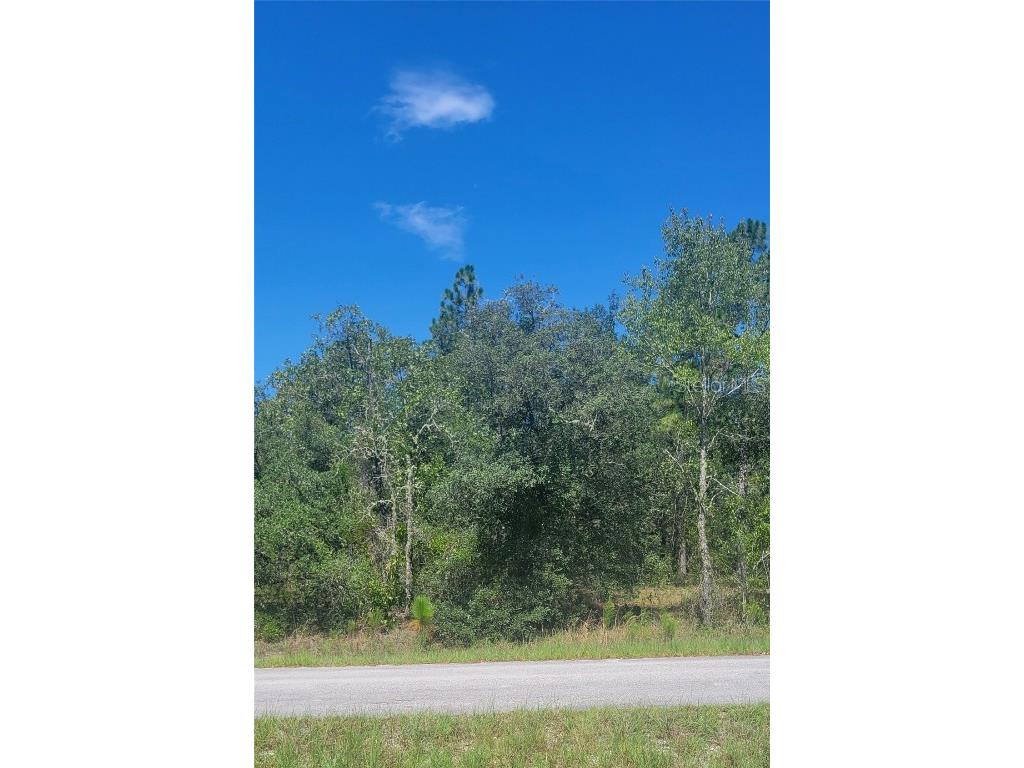 0 SW Big Bear Ridge Dunnellon FL 34431 OM707358 image1