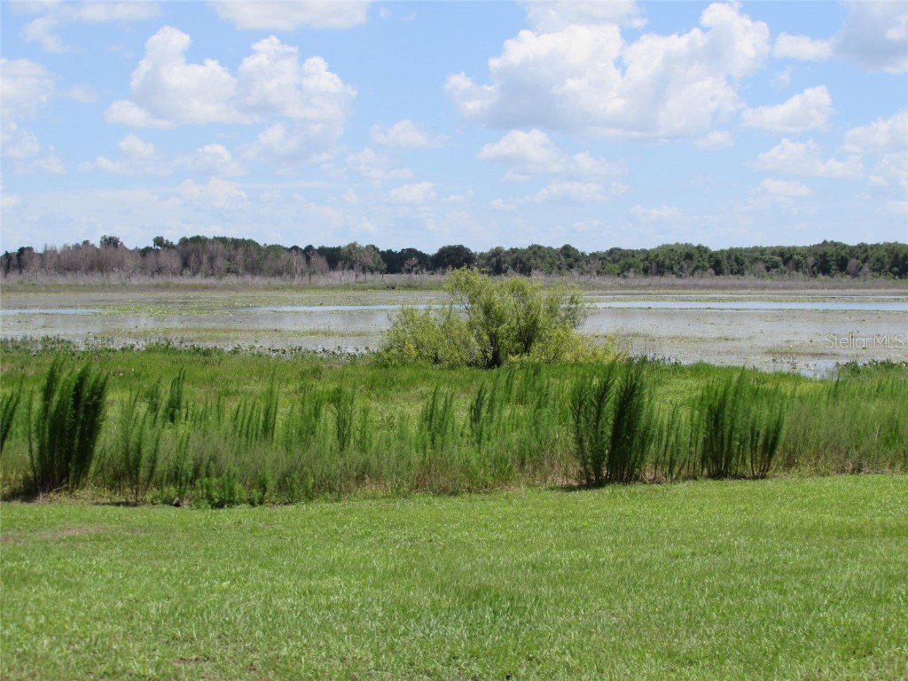 0 SW Big Bear Ridge Dunnellon FL 34431 OM707358 image19