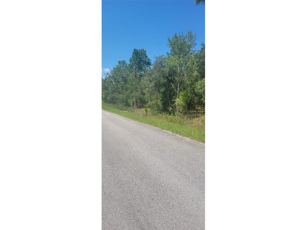 0 SW Big Bear Ridge Dunnellon FL 34431 OM707358 image2