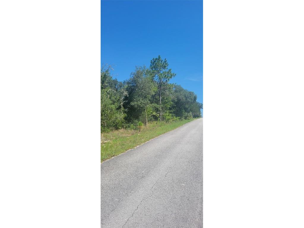 0 SW Big Bear Ridge Dunnellon FL 34431 OM707358 image3