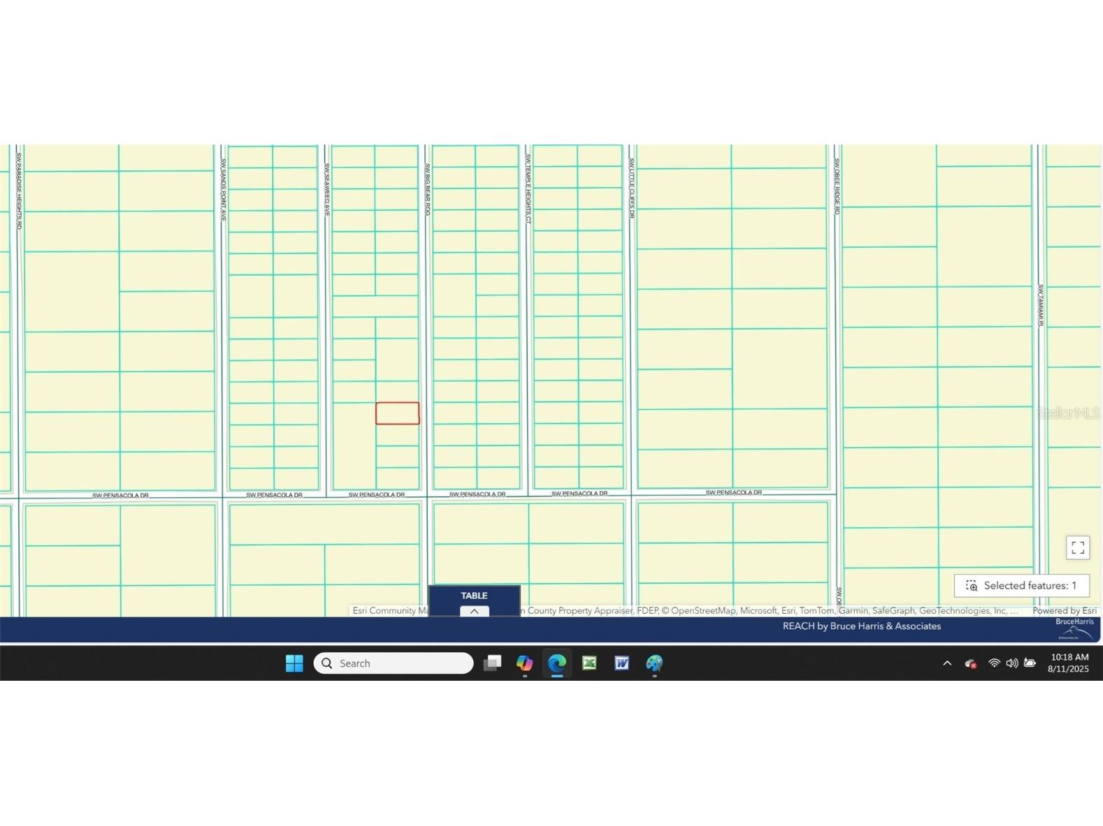 0 SW Big Bear Ridge Dunnellon FL 34431 OM707358 image4