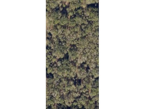 0 SW Blanton Lane Lake City FL 32024 OM716859 image1