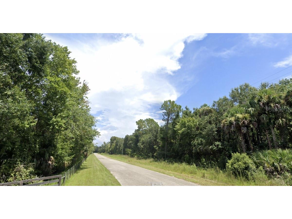 0 SW Blossom Avenue Arcadia FL 34266 A4597739 image1