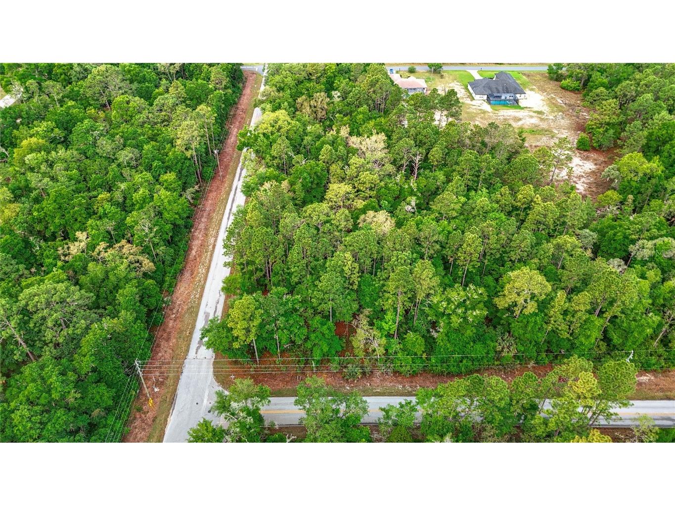 0 SW Breezy Point Drive Dunnellon FL 34431 O6296901 image10