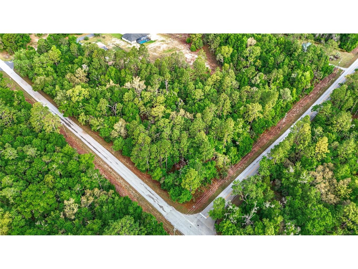 0 SW Breezy Point Drive Dunnellon FL 34431 O6296901 image11