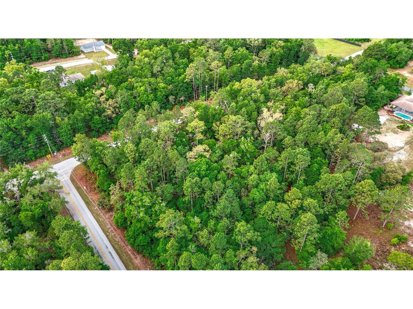 0 SW Breezy Point Drive Dunnellon FL 34431 O6296901 image12