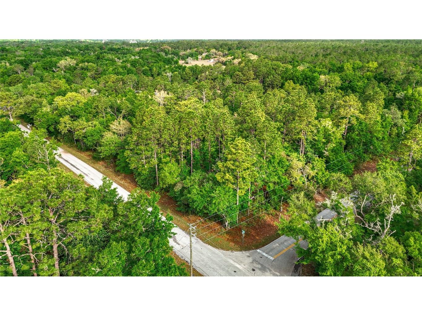 0 SW Breezy Point Drive Dunnellon FL 34431 O6296901 image15