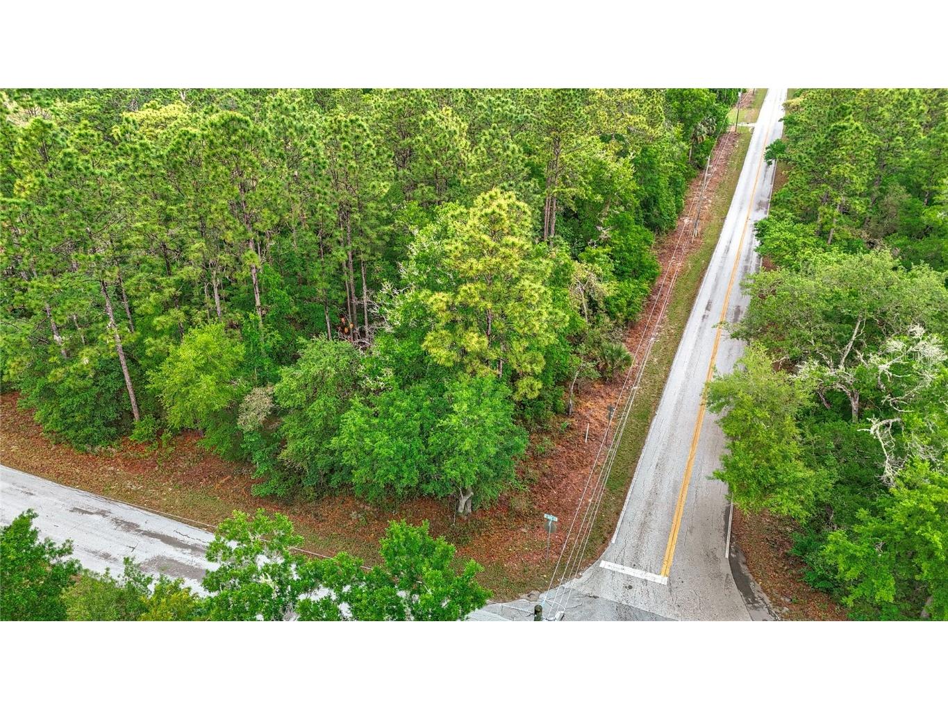 0 SW Breezy Point Drive Dunnellon FL 34431 O6296901 image16