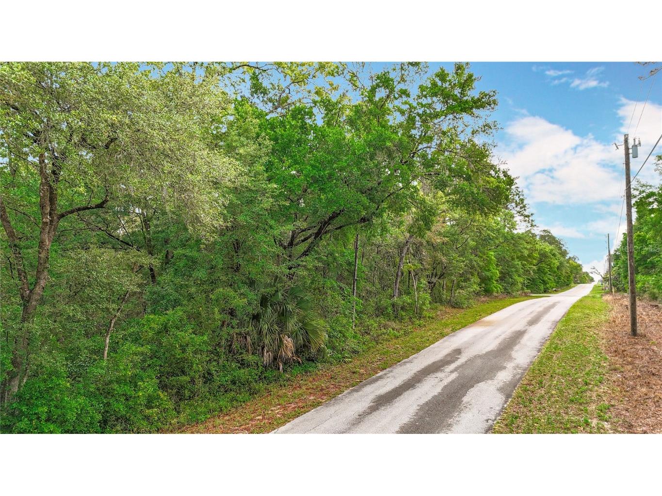 0 SW Breezy Point Drive Dunnellon FL 34431 O6296901 image19