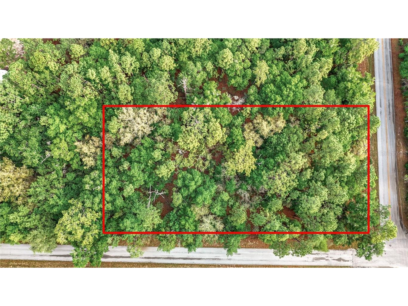 0 SW Breezy Point Drive Dunnellon FL 34431 O6296901 image2