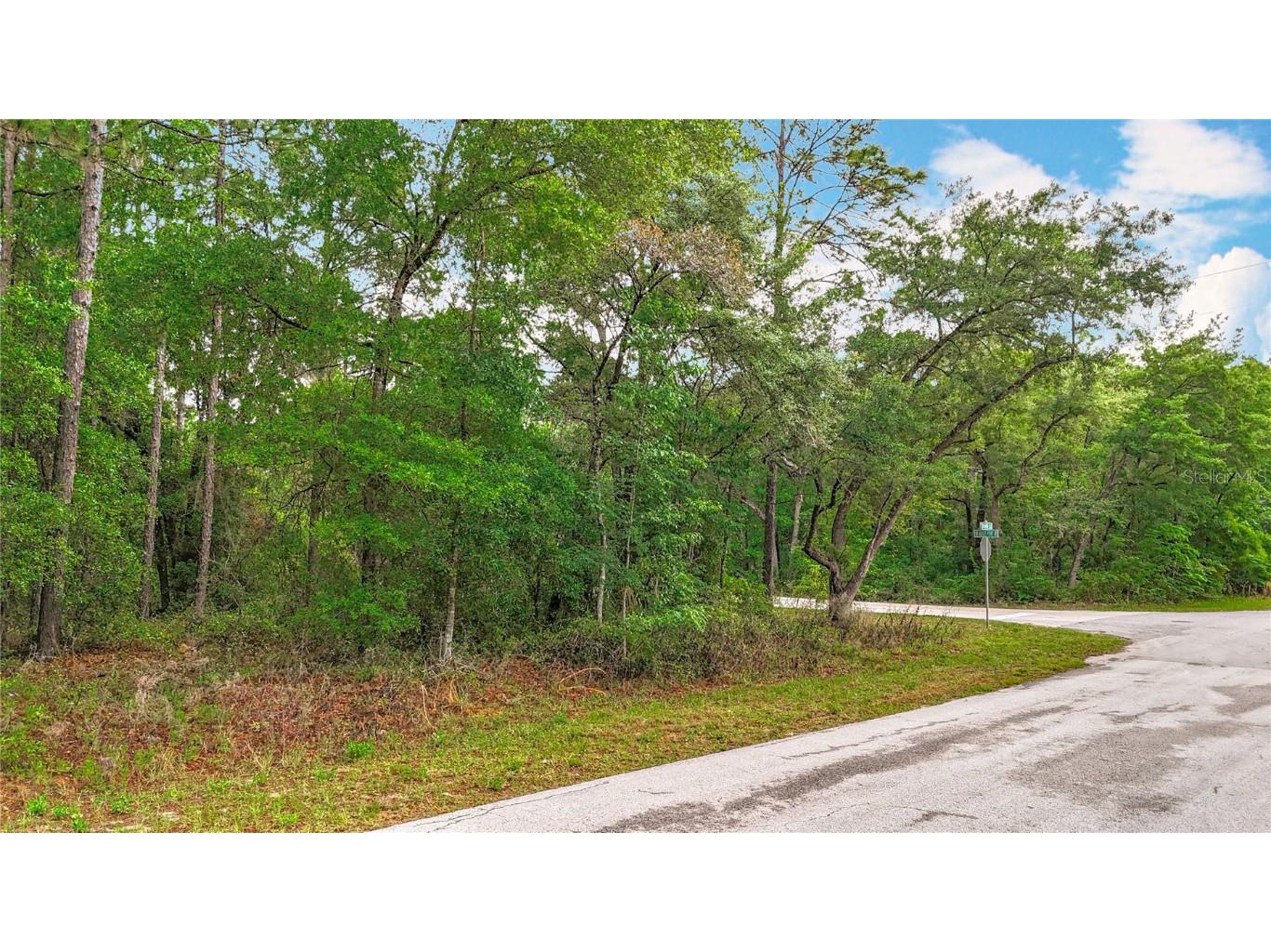 0 SW Breezy Point Drive Dunnellon FL 34431 O6296901 image20