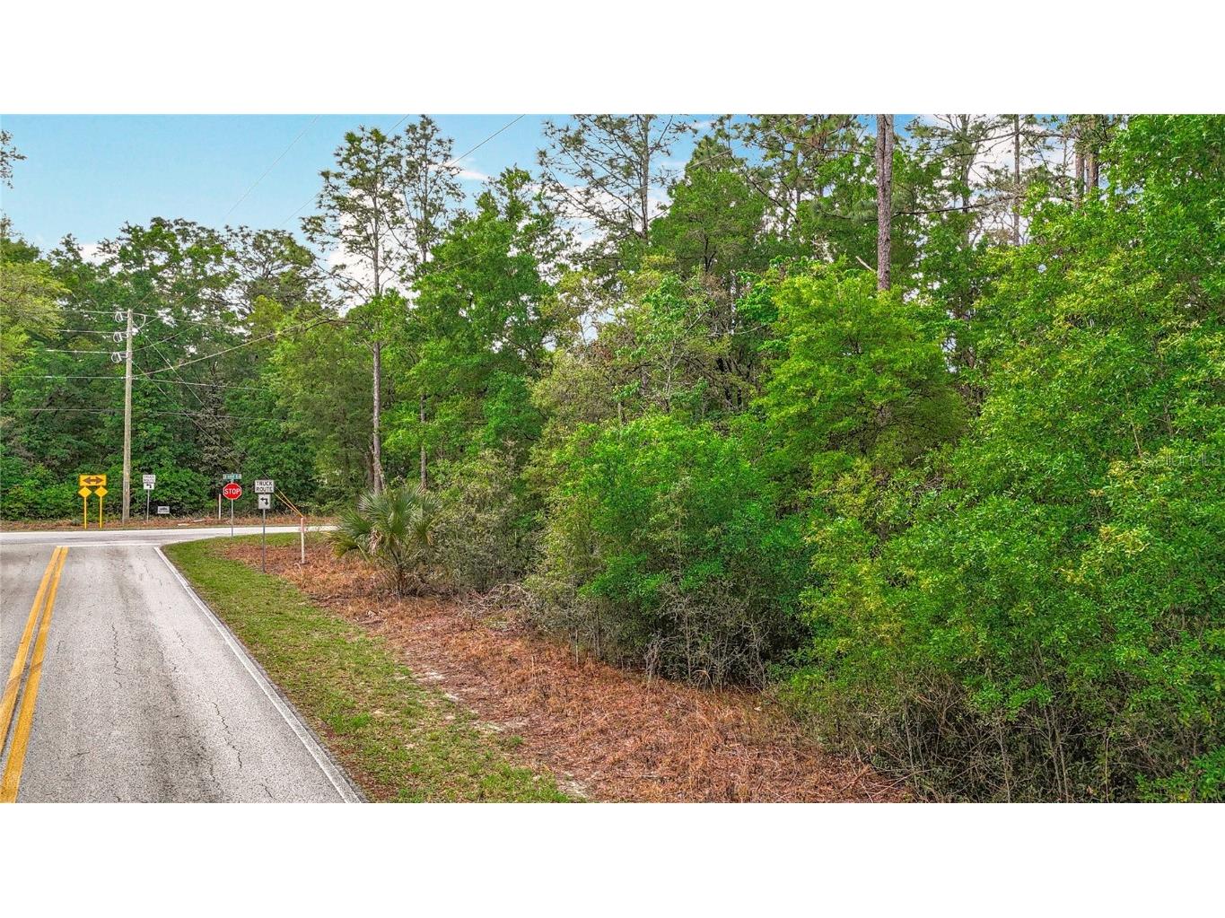 0 SW Breezy Point Drive Dunnellon FL 34431 O6296901 image21