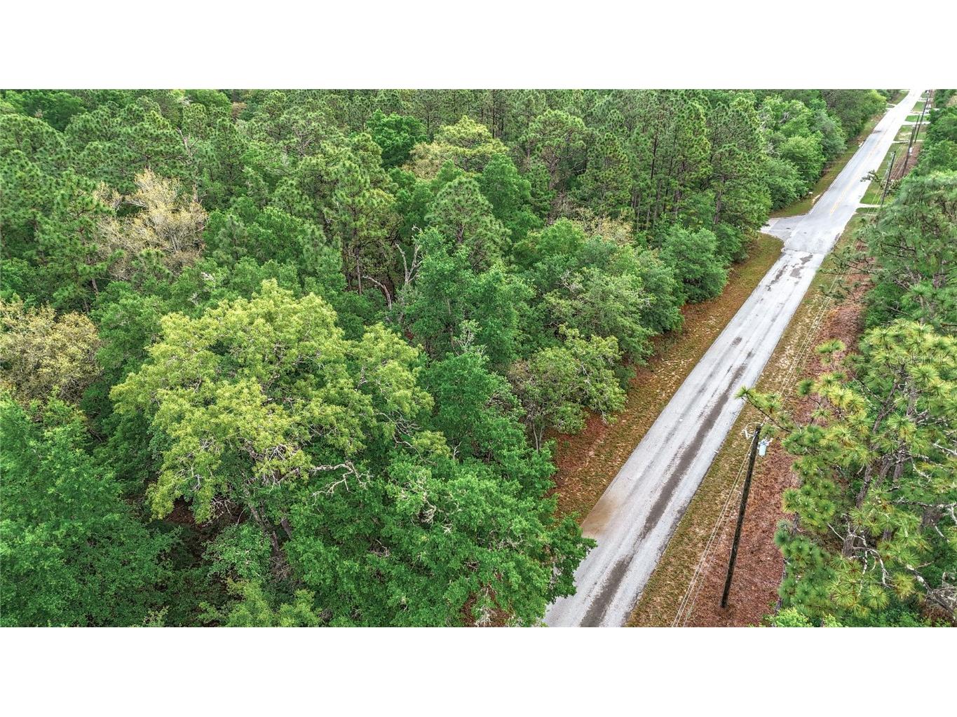 0 SW Breezy Point Drive Dunnellon FL 34431 O6296901 image22