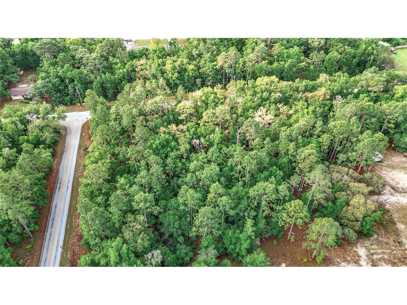 0 SW Breezy Point Drive Dunnellon FL 34431 O6296901 image24