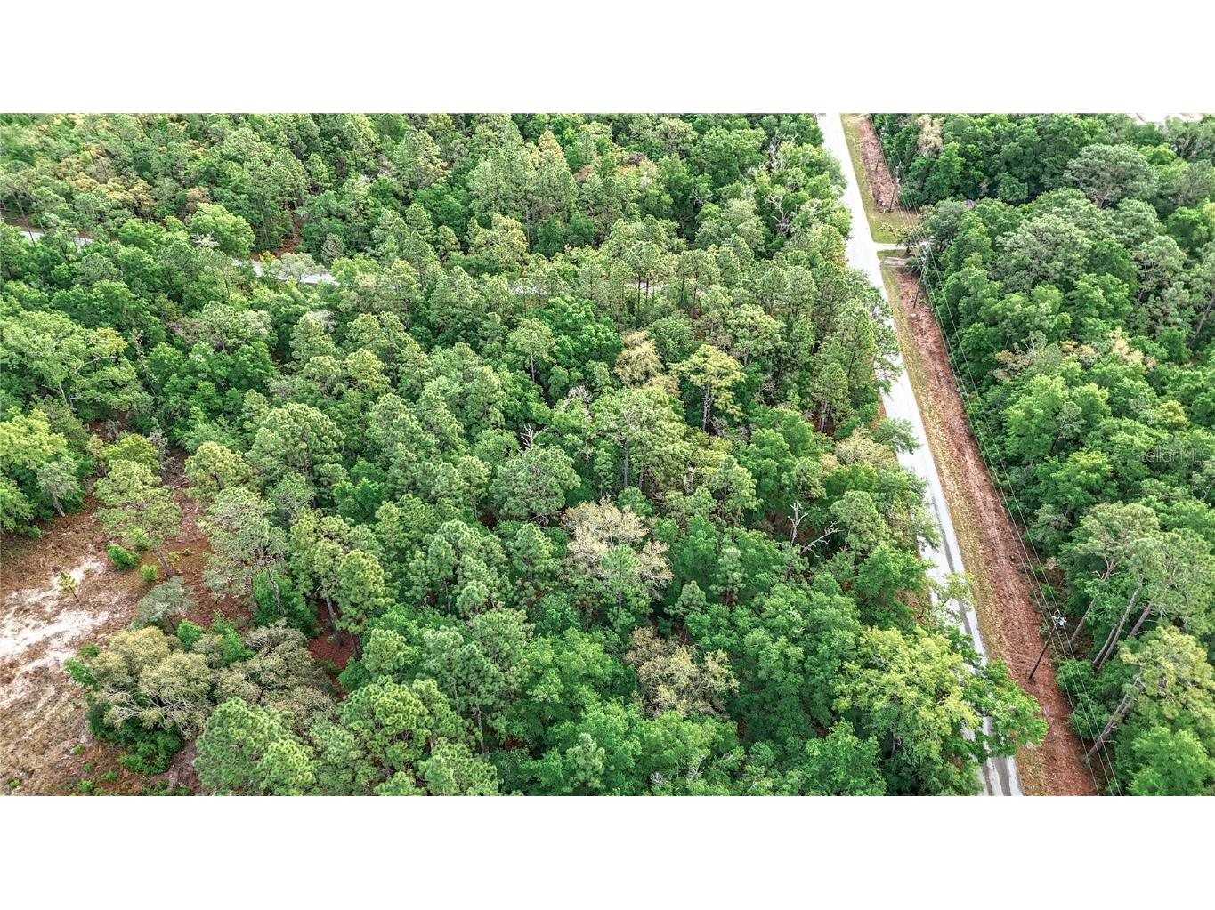 0 SW Breezy Point Drive Dunnellon FL 34431 O6296901 image25