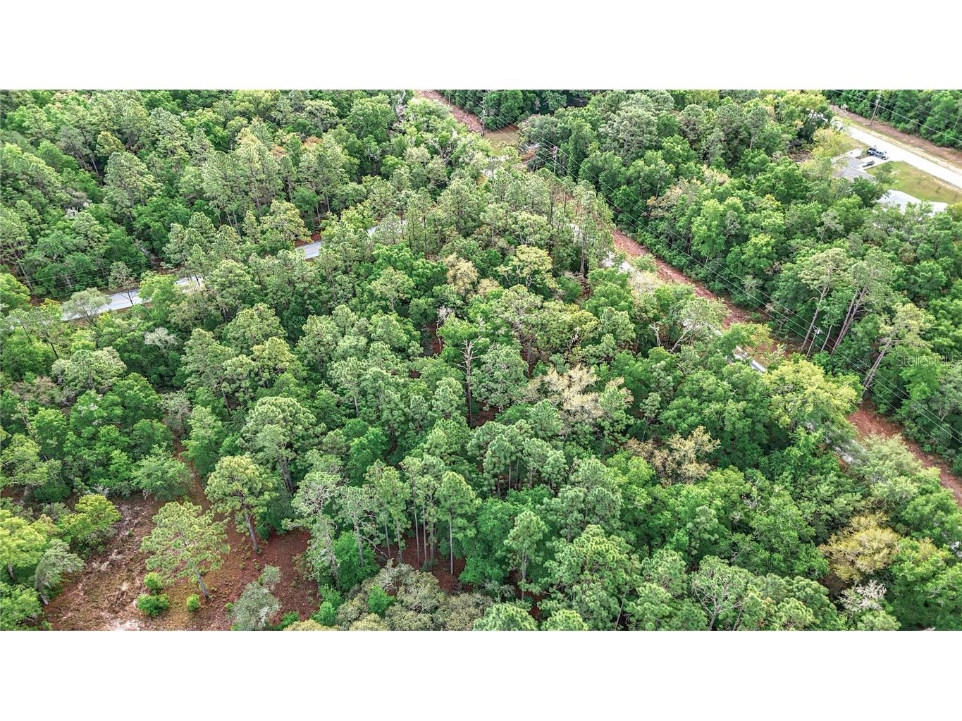 0 SW Breezy Point Drive Dunnellon FL 34431 O6296901 image26