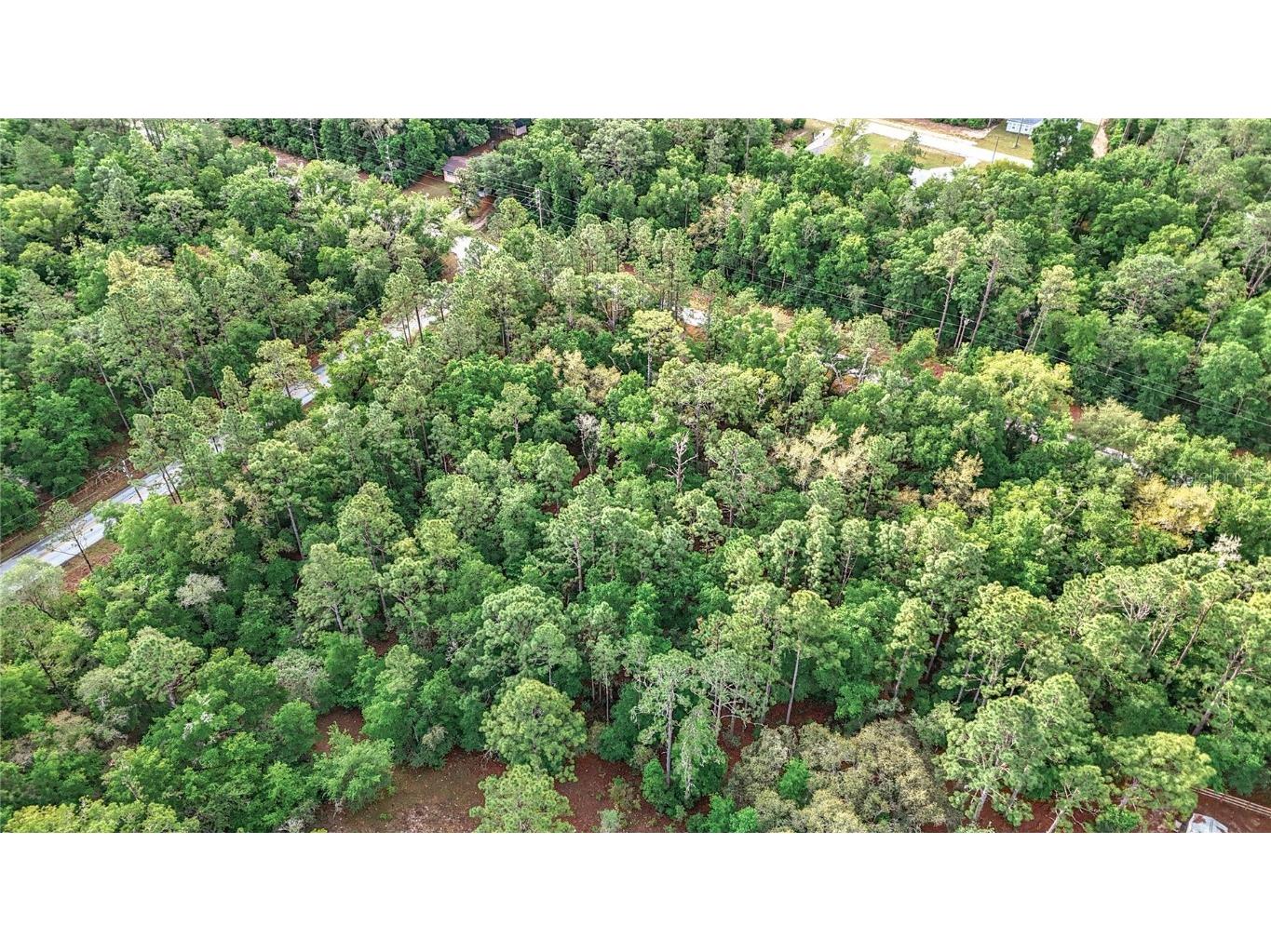 0 SW Breezy Point Drive Dunnellon FL 34431 O6296901 image27