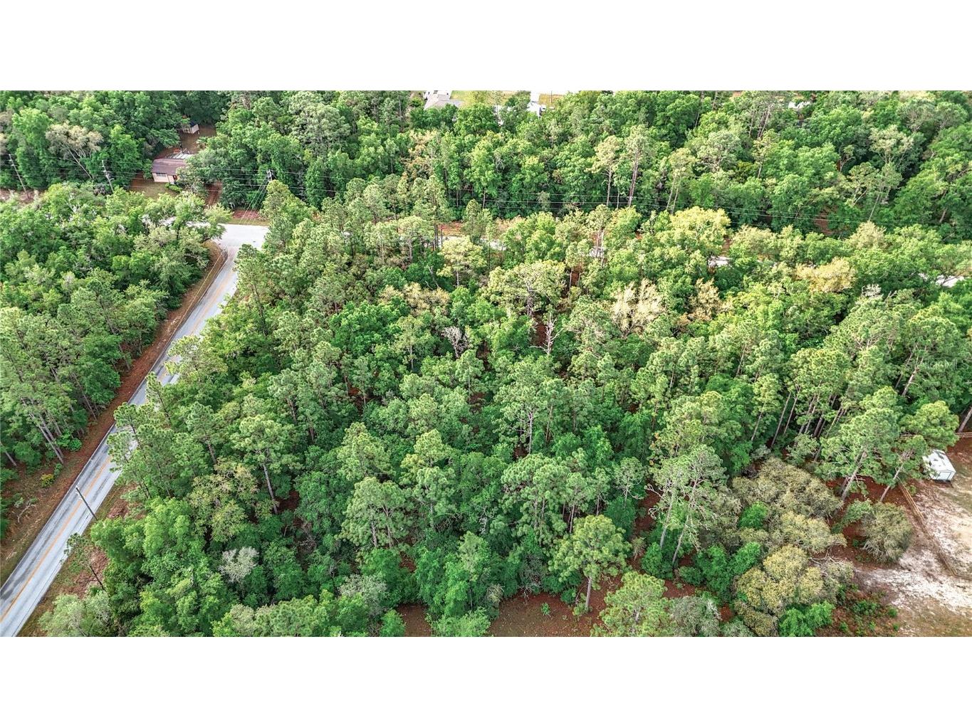 0 SW Breezy Point Drive Dunnellon FL 34431 O6296901 image28