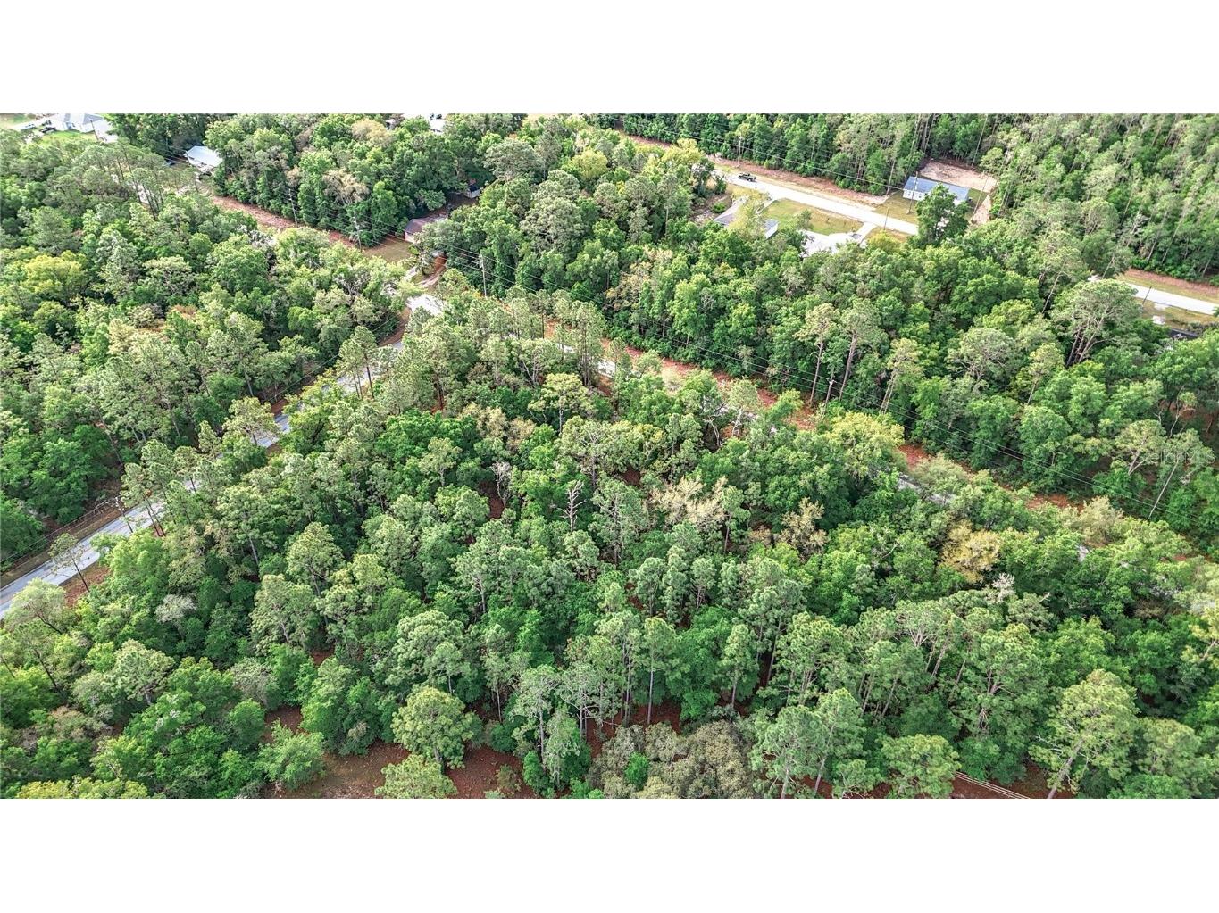 0 SW Breezy Point Drive Dunnellon FL 34431 O6296901 image30