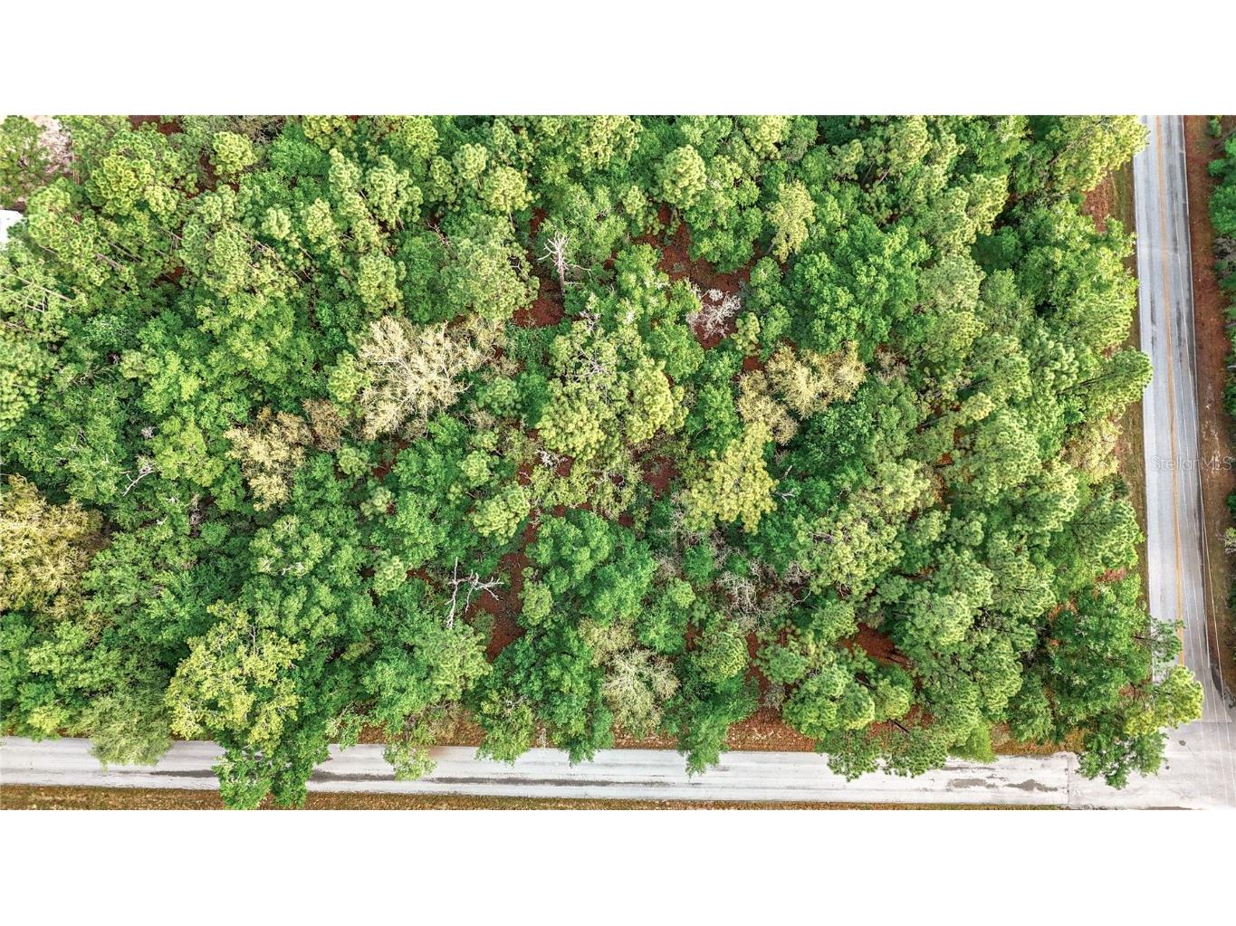 0 SW Breezy Point Drive Dunnellon FL 34431 O6296901 image31