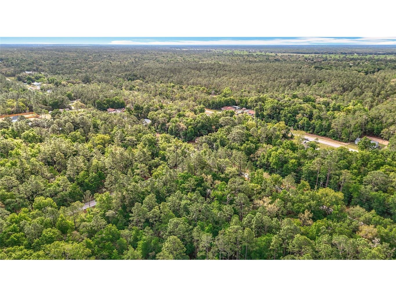 0 SW Breezy Point Drive Dunnellon FL 34431 O6296901 image35