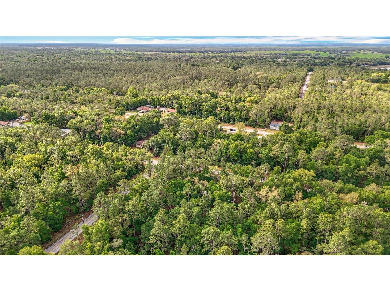 0 SW Breezy Point Drive Dunnellon FL 34431 O6296901 image36